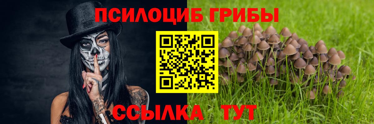 Псилоцибиновые грибы GOLDEN TEACHER Искитим